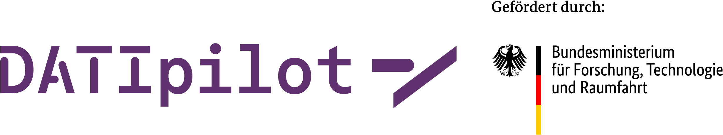 DATIpilot gefördert durch das Bundesministerium für Forschung, Technologie und Raumfahrt